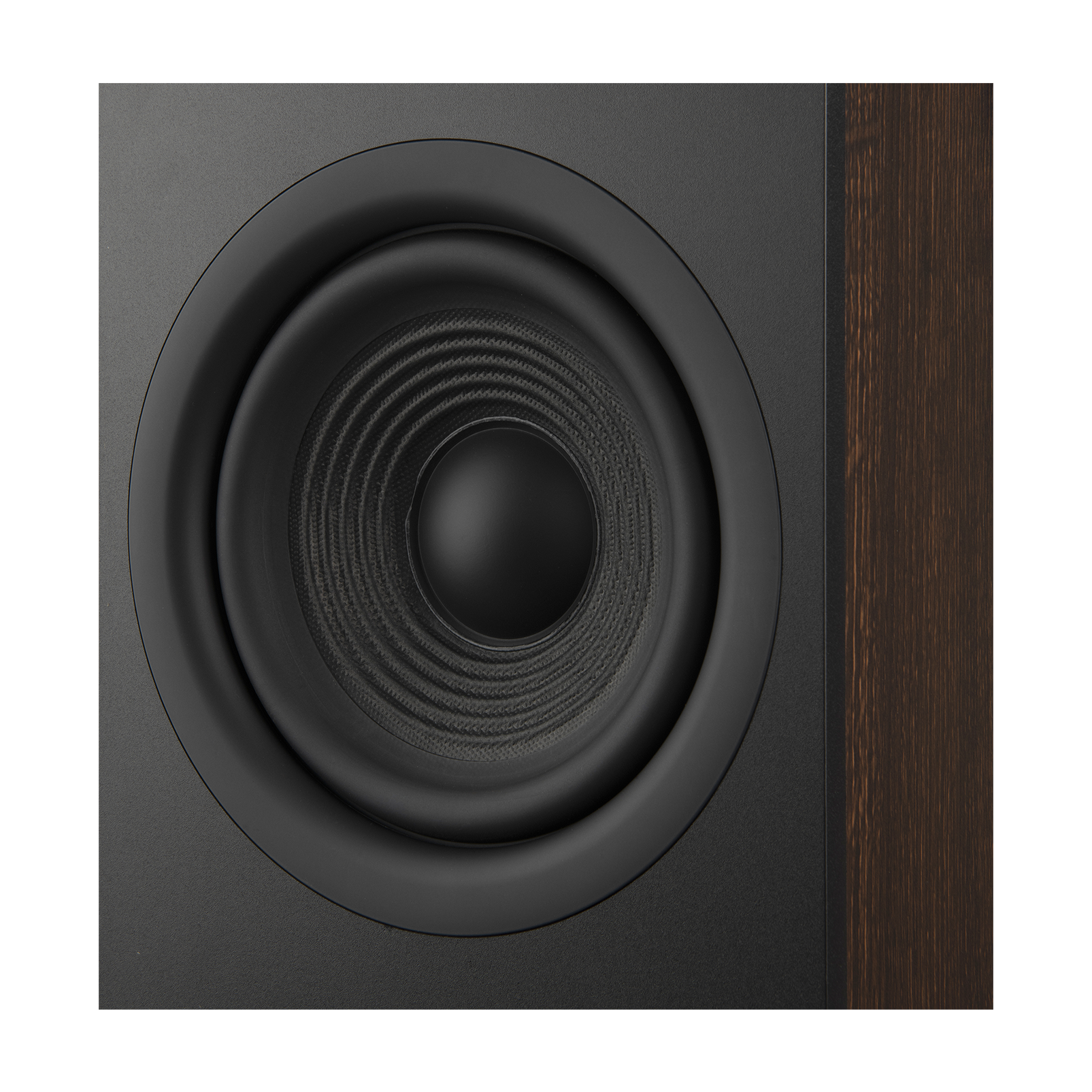 JBL Stage 260F - Thumbnail 5