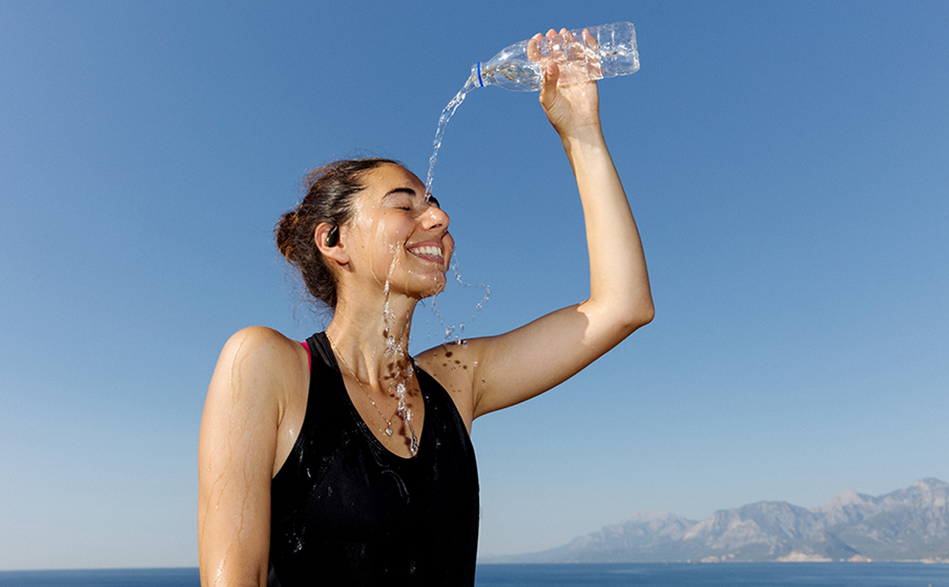 Descripción de la imagen